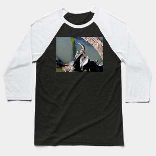 Anhinga Baseball T-Shirt